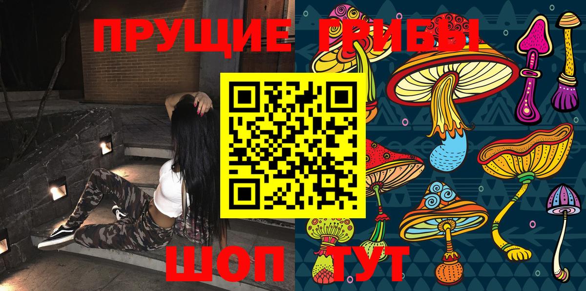 Егорьевск  где купить наркоту  Галлюциногенные грибы GOLDEN TEACHER  Вход с VPN  Псилоцибиновые грибы Cubensis 
