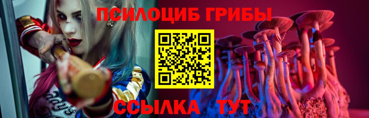 Меф Егорьевск